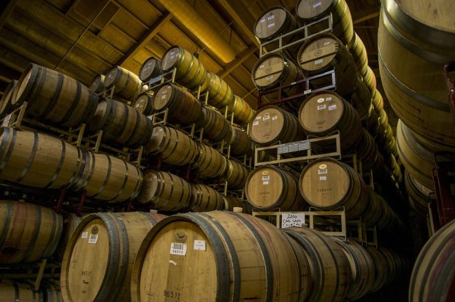 Fermentation