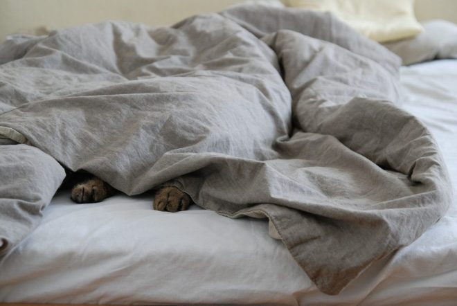 Sommeil